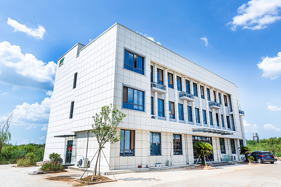 Virkelig bilde av selskapet