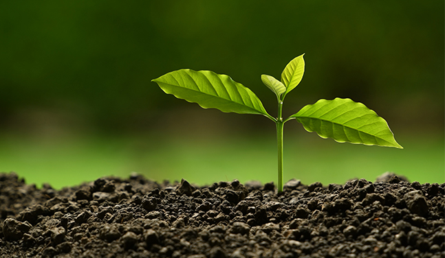 Ronsun Import & Export Co., Ltd.